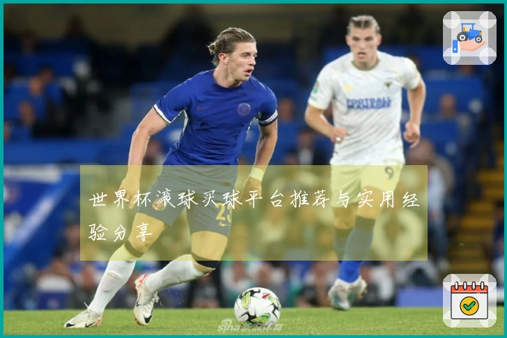 世界杯滚球买球平台推荐与实用经验分享