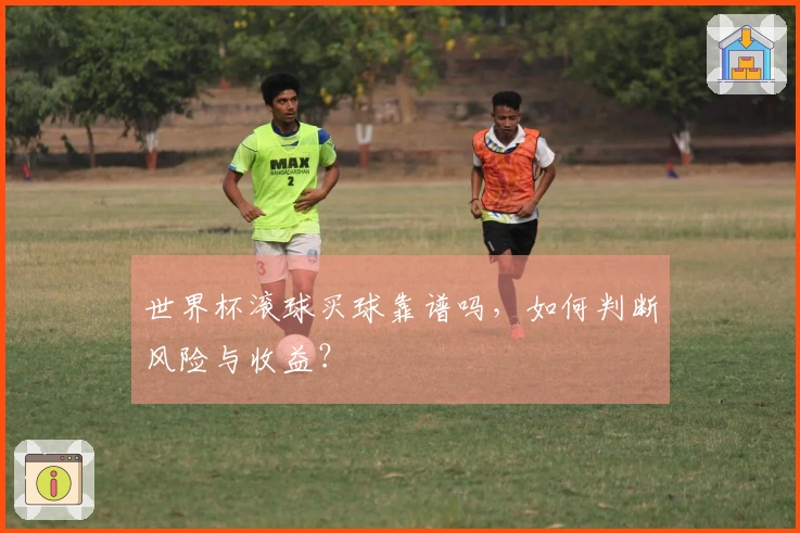 世界杯滚球买球靠谱吗，如何判断风险与收益？