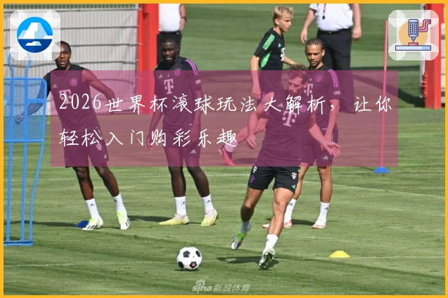 2026世界杯滚球玩法大解析，让你轻松入门购彩乐趣