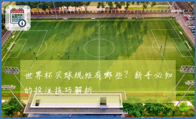世界杯买球规矩有哪些？新手必知的投注技巧解析