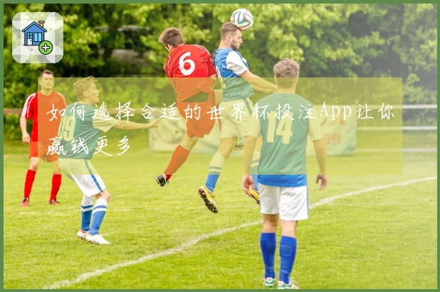 如何选择合适的世界杯投注App让你赢钱更多